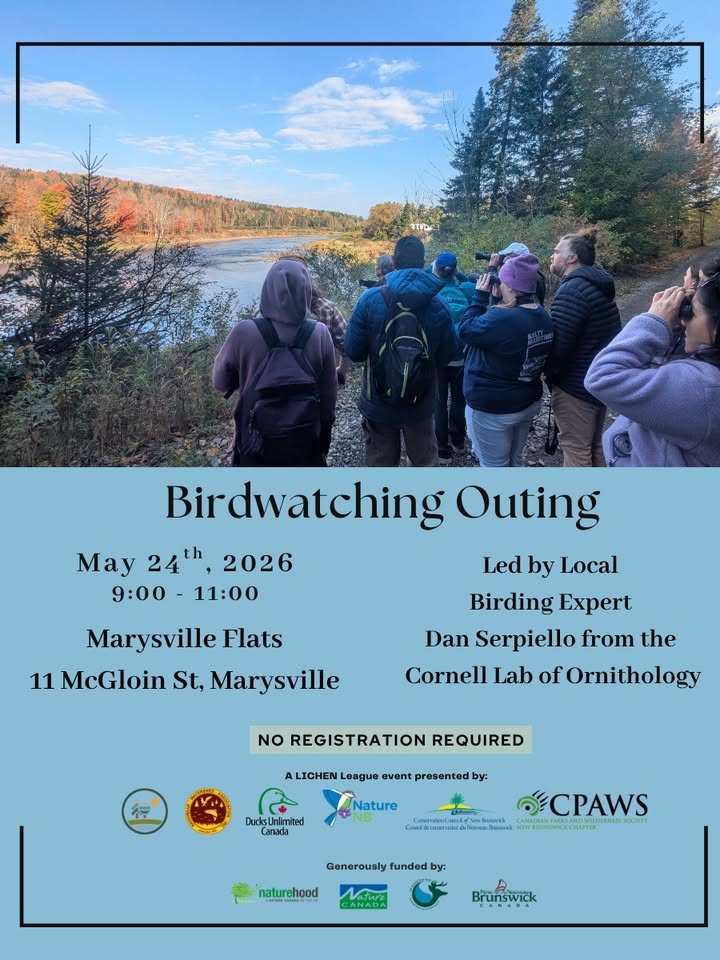 Birding Outing